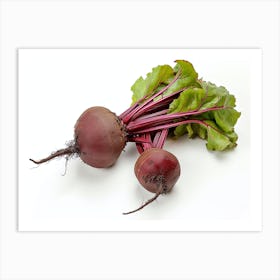 Beets 1 Art Print