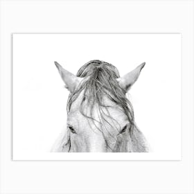 Black and White Horse's Head Art Print