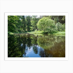Summer reflection in the forest Art Print