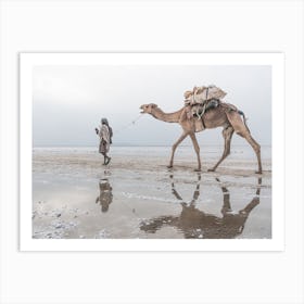 Camel Reflection On The Salt Lake Art Print
