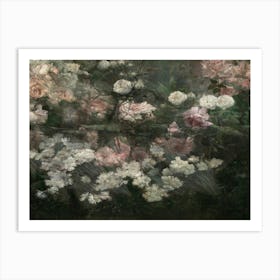 Roses 12 Art Print