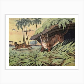 Vintage Kolb 2 Tafel 13 Tiger Art Print