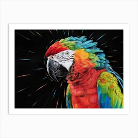 Colorful Parrot 2 Art Print