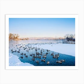 Flock Of Ducks And Geese Mingling On A Frozen Pond Display Of Avian Diversity Amidst The Wintry Spl Art Print