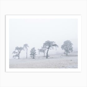 Snowy Landscape With Trees Art Print