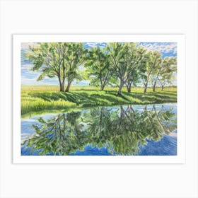 Trees Reflected In A Pond Art Print