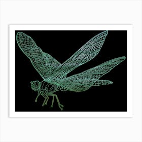 Dragonfly Art Print