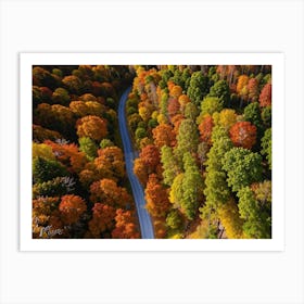 Aerial View Of Fall Foliage Art Print