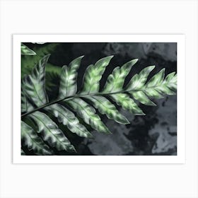 Fern Leaf Art Print