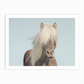 Horse With Long Hair Art Print