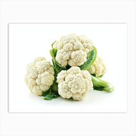 Cauliflower On White Background 3 Art Print