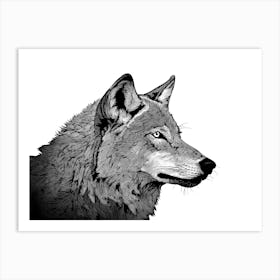 Black & White Wolf Portrait Art Print