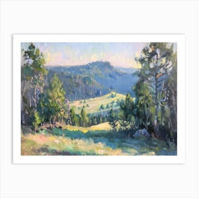 Western Landscapes Black Hills South Dakota 1 Art Print