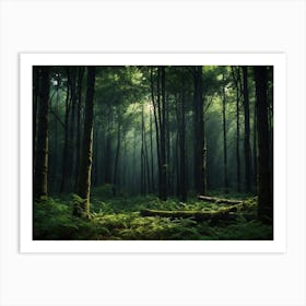 Forest Art Print