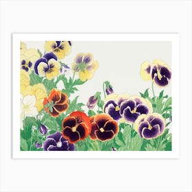 Pansies 1 Art Print