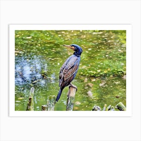 Majestic Cormorant by the Water. A striking cormorant perches on a weathered wooden post, its intricate feather patterns gleaming under the sunlight. The tranquil water reflects the lush greenery, creating a serene natural setting. Art Print