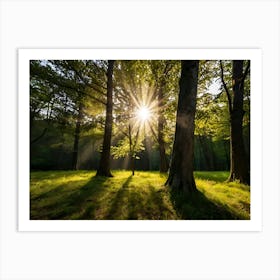 Sun Shining Through Trees Art Print