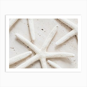 Dried Starfish Art Print