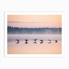 Canadian Geese 14 Art Print