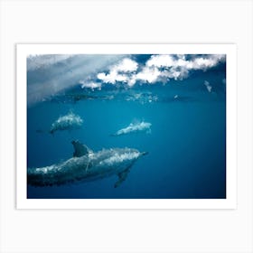 Dolphins, Oil Painting Art Print