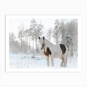 Furry Winter Horse Art Print