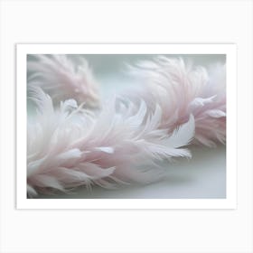 A Close Up Shot Of Delicate, White And Pink Feathers, Creating A Soft, Fluffy, And Ethereal Texture Art Print