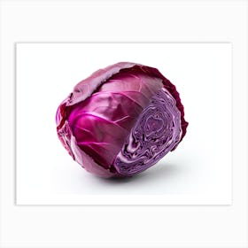 Red Cabbage (21) Art Print