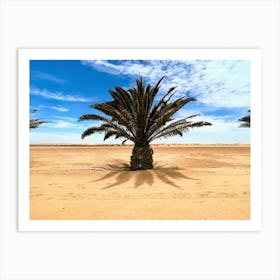 Namibian Palm Trees (African Series) Art Print