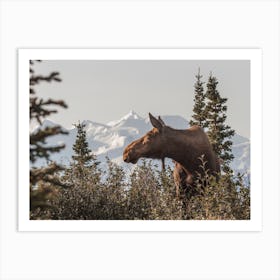 Rustic Nature Moose Art Print