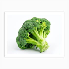 Broccoli On White Background 7 Art Print