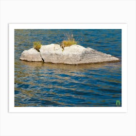 Rock In The Water 20210825 181ppub Art Print