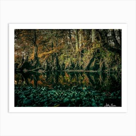 Cypress Pond Art Print