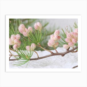 Pine Blossoms Art Print