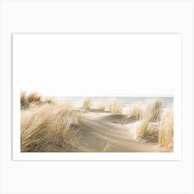 Sand Dune Grasses Art Print