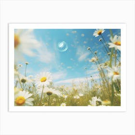 Field Of Daisies Art Print