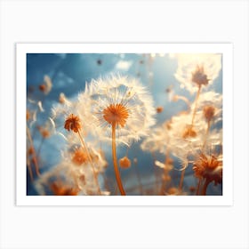 Dandelion 30 Art Print