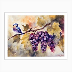 A Bird In The Vineyard Art Print