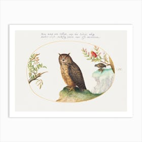 Owl With A Second In The Distance Eating A Rabbit (1575–1580), Joris Hoefnagel Art Print
