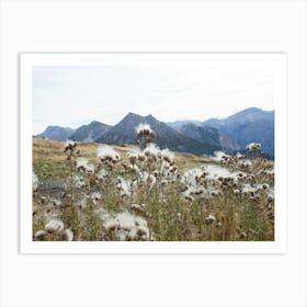 Dolomites Pappus Art Print