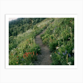 Wildflower Hike Art Print