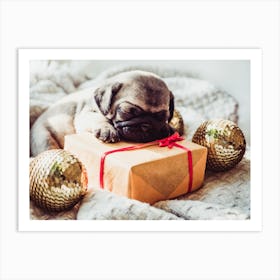 Pug Puppy Sleeping On Christmas Present Art Print