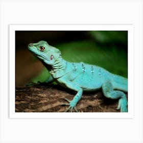 Green Lizard on a Tree Art Print