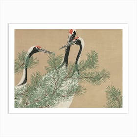 Japanese Ukiyo-E Cranes In A Pine Tree Art Print