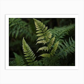 fern leaf Art Print