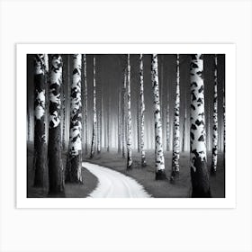 Birch Forest 74 Art Print