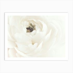 White Bloom_2242735 Art Print