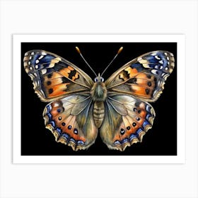 Watercolor Illustration Of A Painted Lady Butterfly On Black Background Art Print