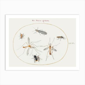 A Bee And Five Other Insects (1575–1580), Joris Hoefnagel Art Print