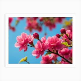 Cherry Blossoms 2 Art Print