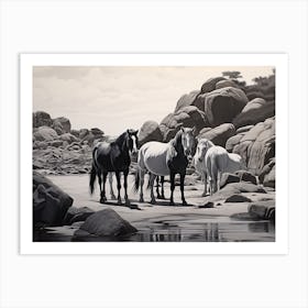 A Horse Oil Painting In Boulders Beach, South Africa, Landscape 3 Art Print